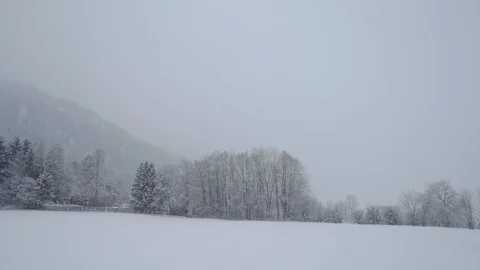Heavy snow falling on a Bavarian meadow scenic nature Stock Footage 120983273