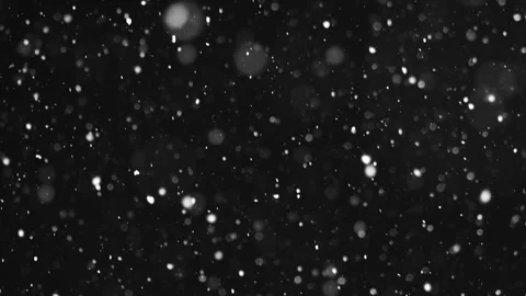 Heavy Snow Falling on Black Background, Winter Snow Overlay Effect Stock Footage 320643143