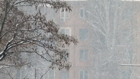 Heavy Snow Falling in a City 4K Stock-Footage 92848892