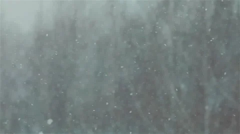 Heavy snow falling. Close up. Blurred background Stock Footage 47873397