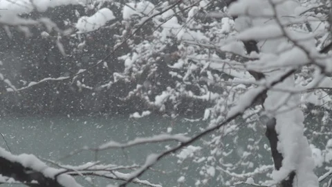 Heavy snow falling close-up, slow-motion Stock Footage