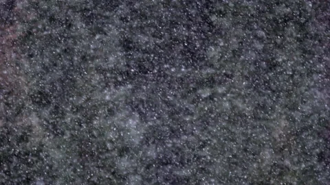 Heavy Snow Falling in Dark Forest, slow motion Stock Footage 163925744