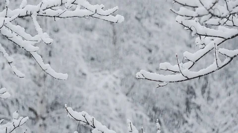 Heavy snow falling 動画素材 94348716