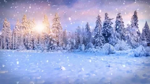 Heavy snow falling in a forest landscape during sunset light Stock Footage 333484564