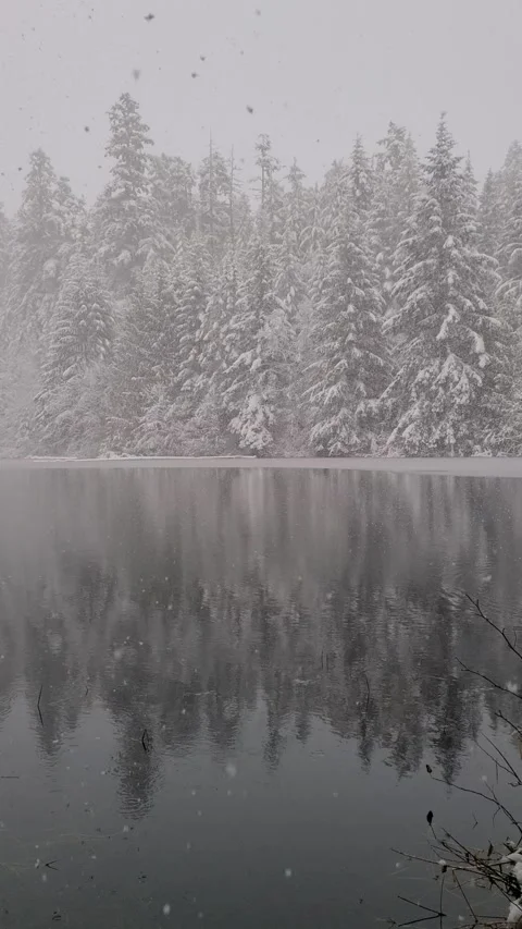 Heavy snow falling on a forest with the reflection in still and calm lake Video stock 166815149