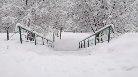 Heavy snow falling in a forest in winter time, stairs step down Video stock 85531360