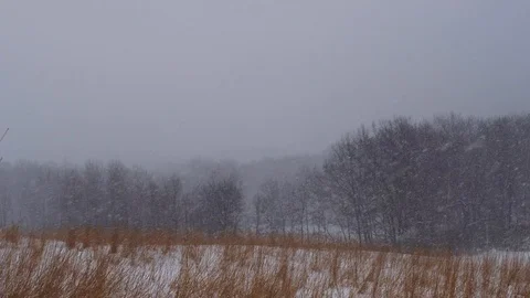 Heavy snow falling in a meadow Stock Footage 108570309