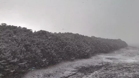 Heavy Snow Falling on Miho no Matsubara Pine Forest Aerial Drone Vidéo 329063980