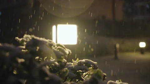 Heavy Snow Falling at Night Illuminated by Warm Street Light Through Bushes Video stock 337409327