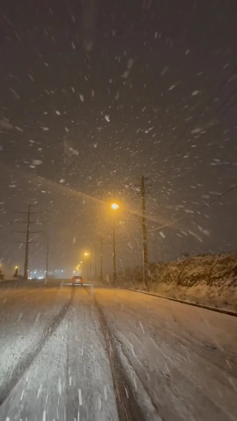 Heavy snow falling on night road with street lights, vertical view Stock Footage 345157246