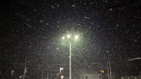 Heavy snow falling at night under street light Stock-Footage 304092519