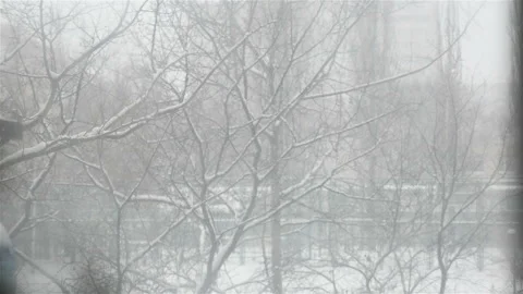 Heavy snow is falling outside. Winter picturesque landscape. Slow motion Stock Footage 119880188