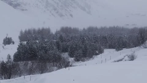 Heavy snow falling over evergreen pine forest in winter mountain landscape .. Stock Footage 337805151