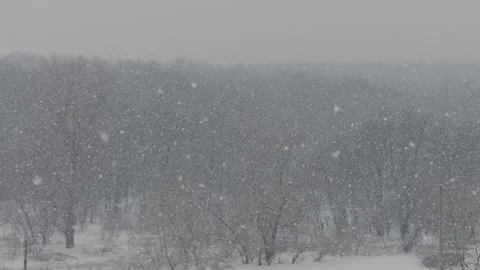 Heavy Snow Falling Over Frozen Forest Landscape During Winter Blizzard Stock Footage 329849273