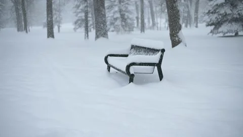 Heavy snow is falling in a park with a with mixed trees and a metal bench. Stock Footage 145546807