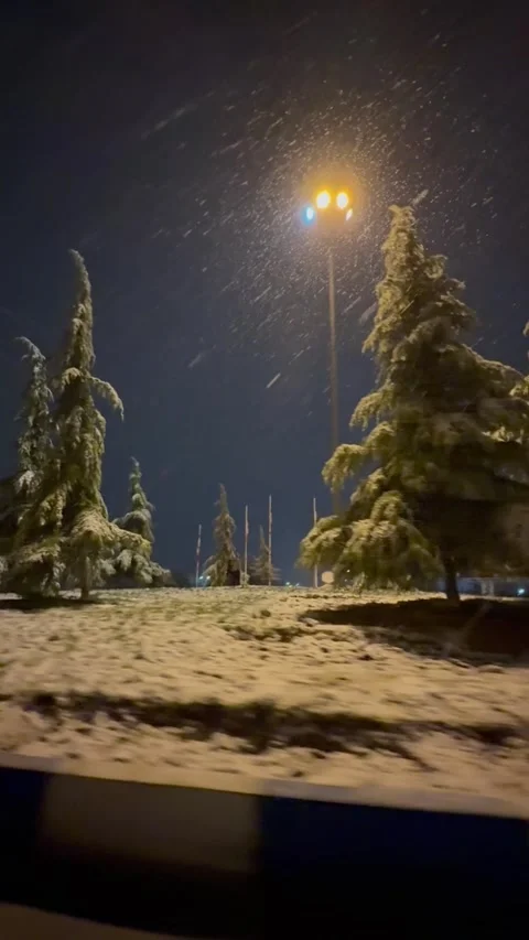Heavy snow falling on snow-covered trees at night, vertical view Stock Footage 345156614