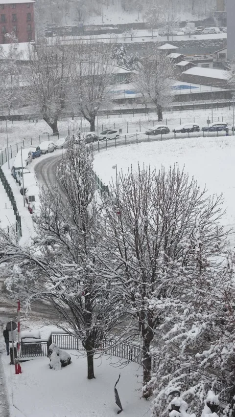 Heavy snow falling on urban landscape trees Video stock 342935844