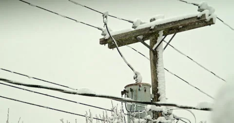 Heavy Snow falling, Winter Snow Storm, Daytime, Power Lines Stock Footage 148242491