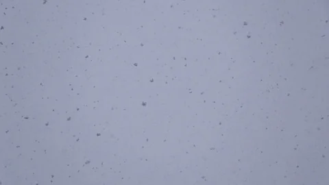 Heavy snow falls Stock Footage 74780661