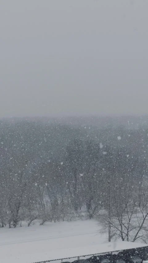 Heavy snow falls on trees and road as black car drives past in winter storm Stock Footage 330251914