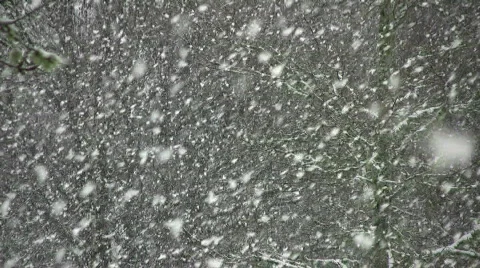 Heavy snow Stock Footage 338083