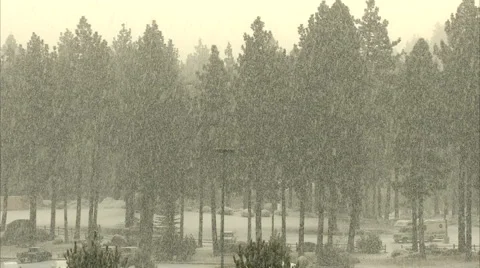 Heavy snow 動画素材 986870