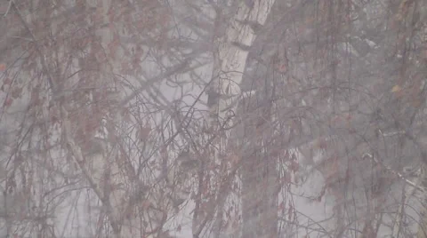 Heavy Snow Stock-Footage 45423177