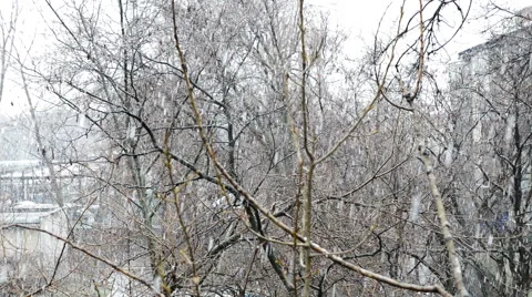 Heavy snow 動画素材 48904232