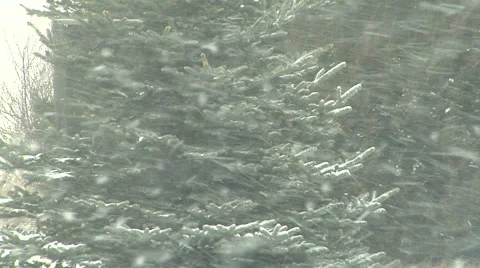 Heavy Snow Video stock 54752390