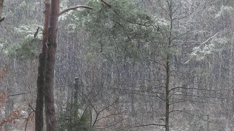 Heavy Snow Stock Footage 83134645