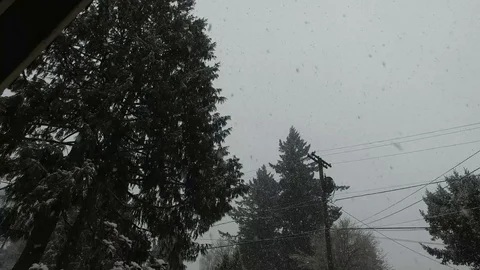 Heavy Snow Stock Footage 92451845