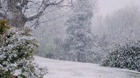 Heavy Snow Stock Footage 153504665