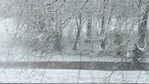 Heavy snow Stock Footage 329015097