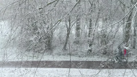 Heavy snow Stock Footage 329015103