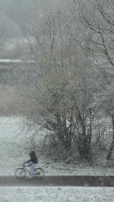 Heavy snow Stock Footage 329015109