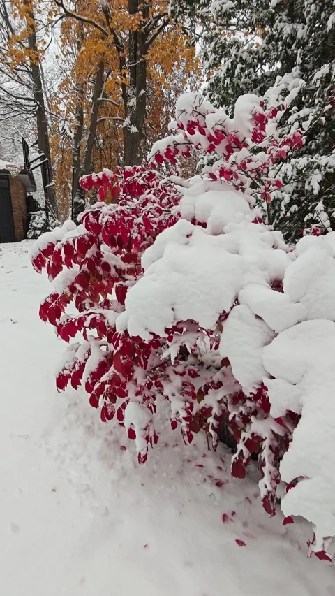 Heavy snow in front of the door (vertical video) Stock Footage 329069125