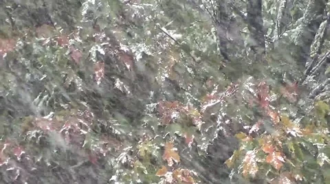 Heavy snow in October Stock-Footage 55667219