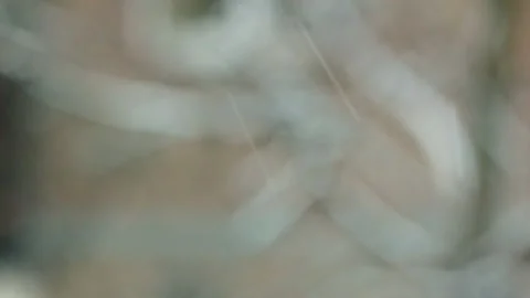 Heavy snow outside the window Vídeo Stock 101677476
