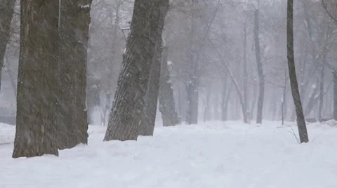 Heavy snow in the park. Stock Footage 52462247