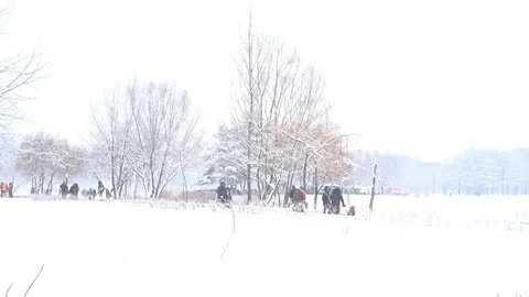 Heavy snow in the park Stock Footage 84793082