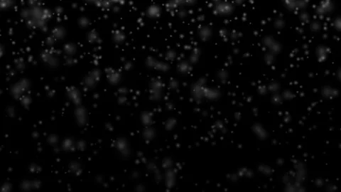 Heavy Snow Particles Vidéo 127126860