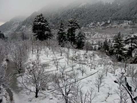 Heavy Snow Фото