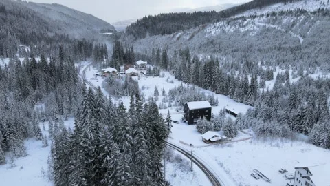 Heavy snow in Romania forest closed to Transalpina DN67C Stock Footage 293470861