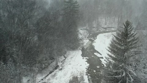Heavy snow storm blizzard in the forest. Snowflakes falling down in the pin.. Stock Footage 268617577