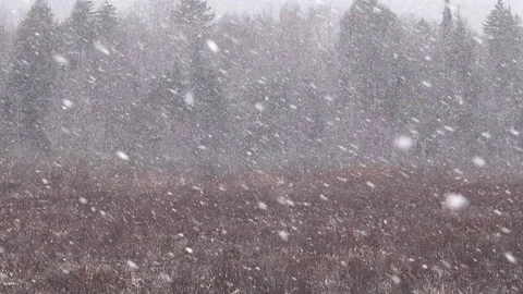 Heavy snow storm Stock Footage