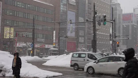 Heavy snow at Susukino intersection with flying crows, slow traffic in Sapporo Stock-Footage 330176749