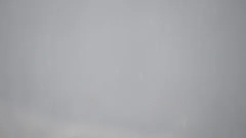 Heavy snow with trees on background, winter time Video stock 99965152