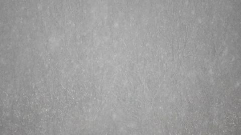 Heavy snow with trees on background, winter time Stock Footage 99965248