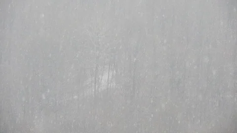 Heavy snow with trees on background, winter time Video stock 99965249