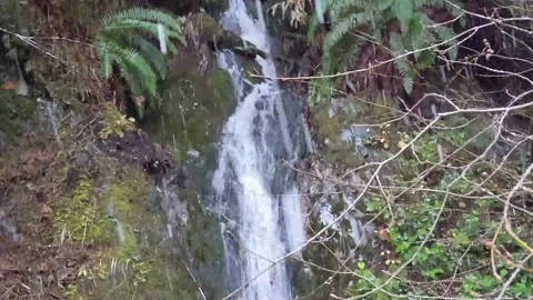Heavy snow at the waterfall Stock Footage 172564830